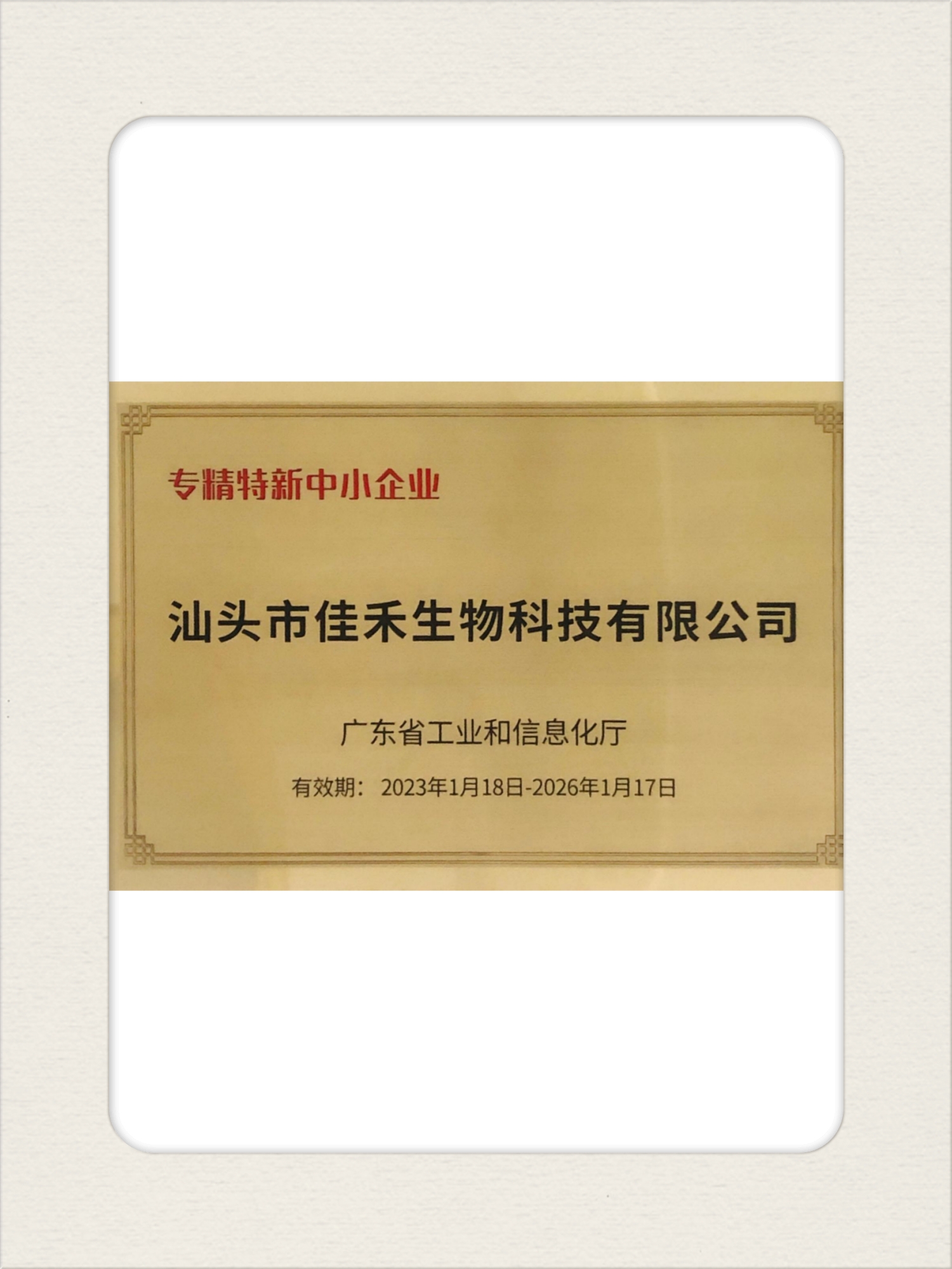 1專(zhuān)精特新【汕頭】.jpg